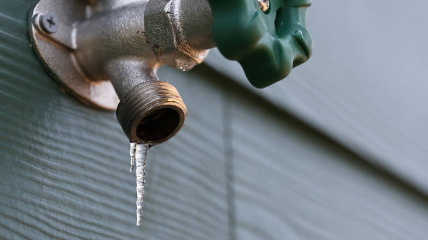 Best Leak Detection Services  in Brownsville, PA